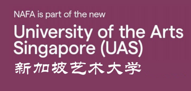 新加坡艺术大学